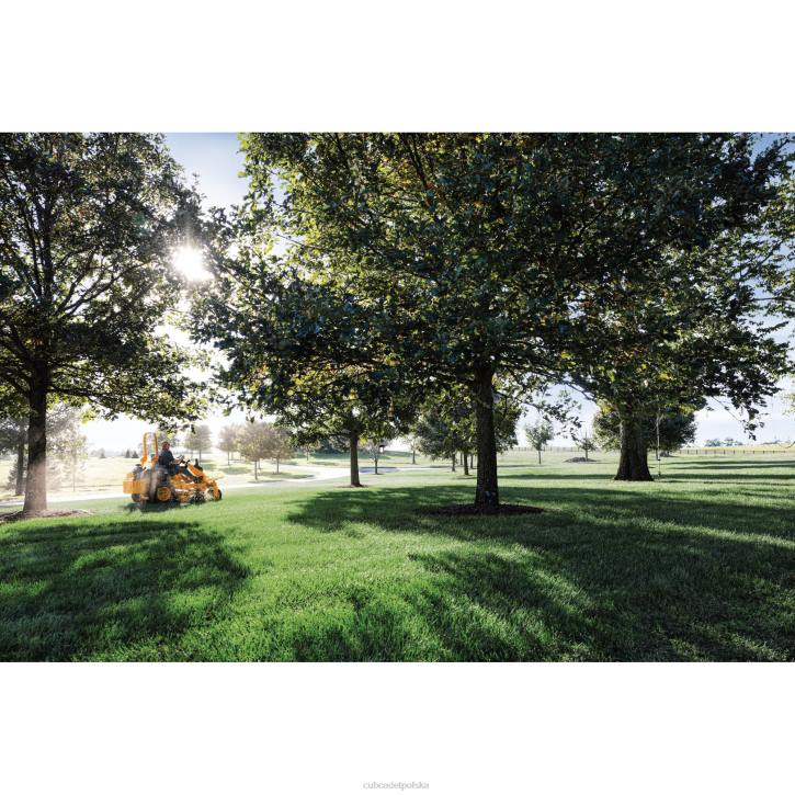Cub Cadet Traktorek 2XD0294 | Cub Cadet pewna ścieżka pro z 972 sprzęt